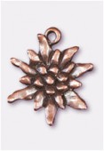 18x16mm Antiqued Copper Plated Edelweiss Charms Pendant x2