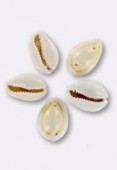 Cowrie Shell Beads W / 2 Holes x2